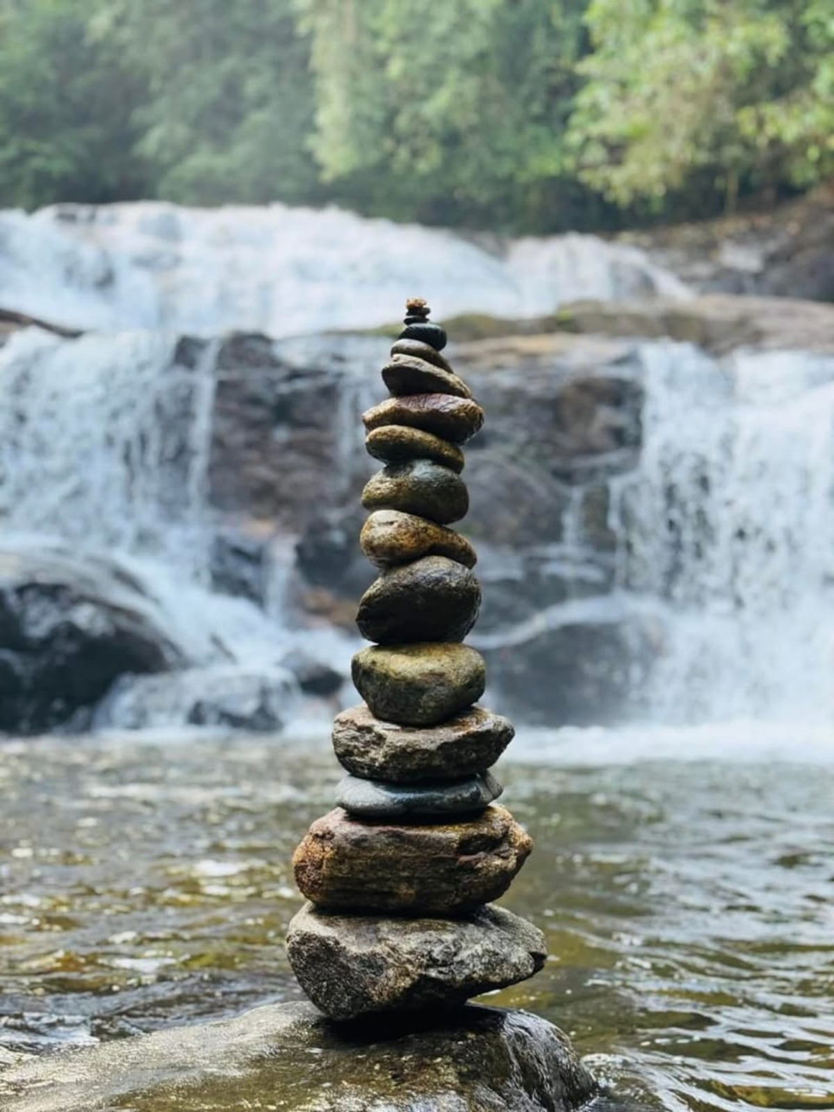 Why Lankagama Is the Best Hidden Entrance to the Sinharaja Rainforest - additional content